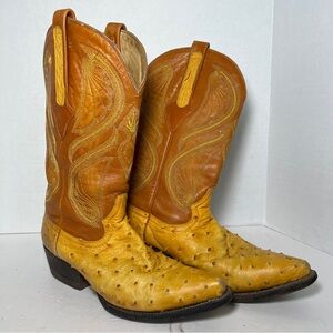 Tan and Brown Western Cowboy Boots with Exotic Leather